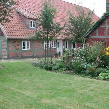 Ferienwohnung Am Elbdeich ブレッケーデ エクステリア 写真